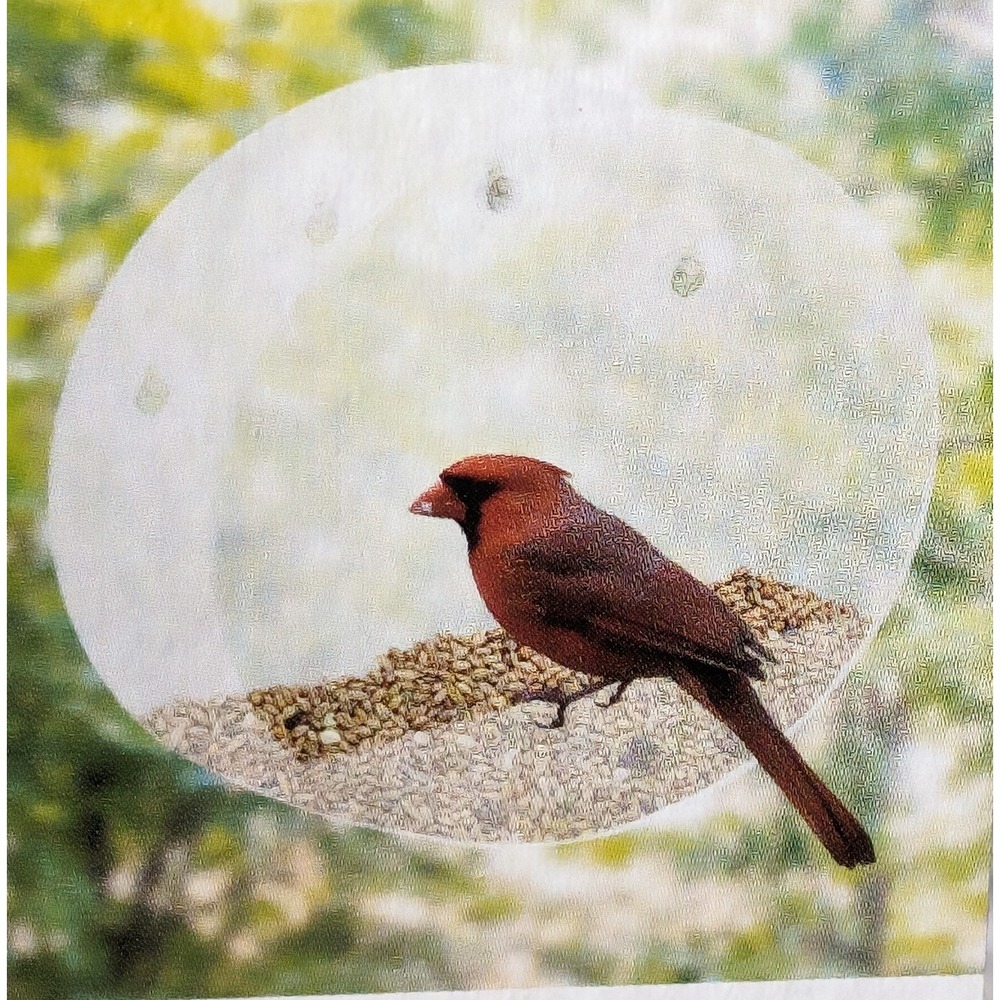 Clear Window Bird Feeder for Outside Bird House with 4 Suction Cup Window Mount